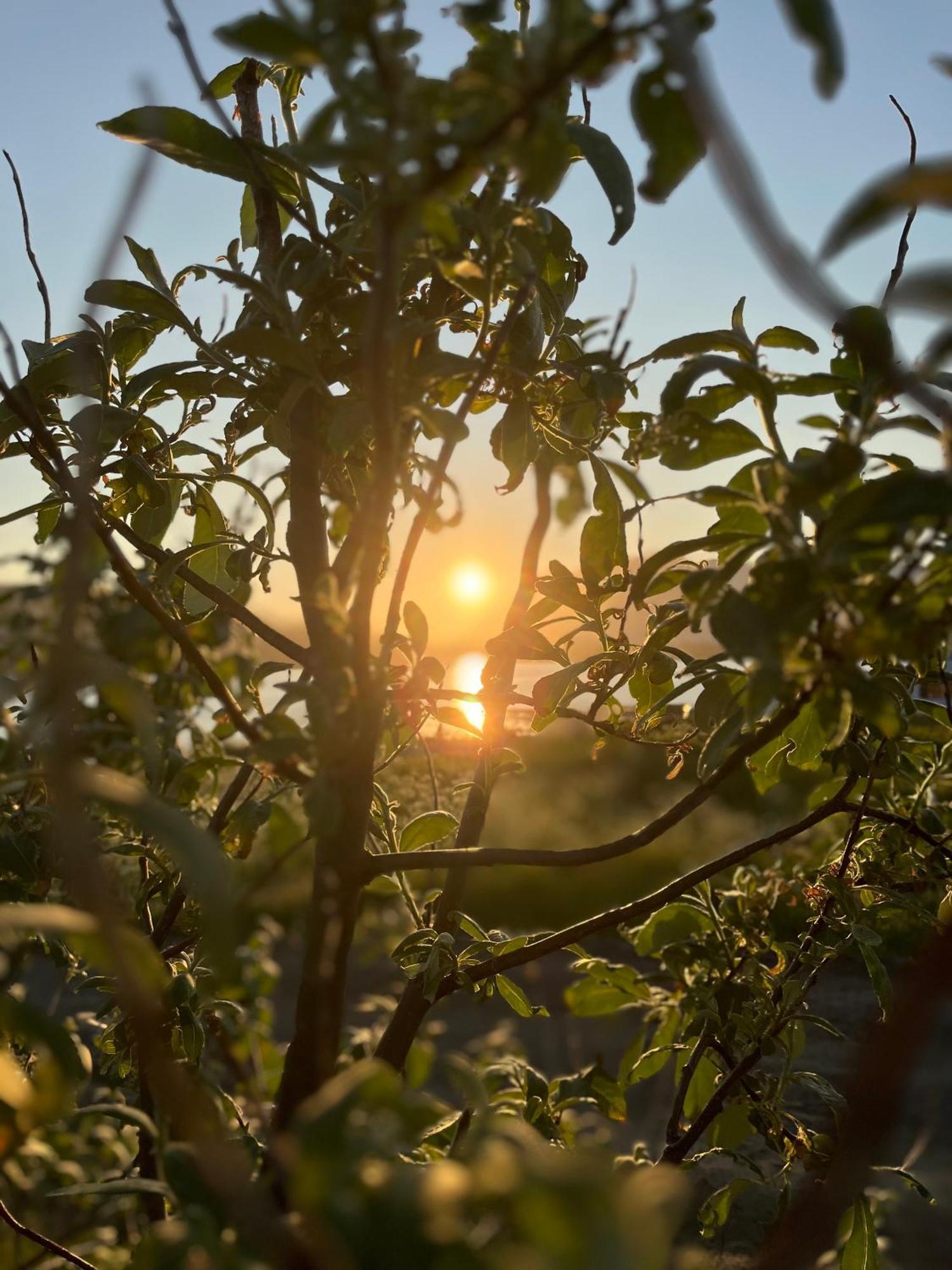 Oppmyre Camping Kültér fotó